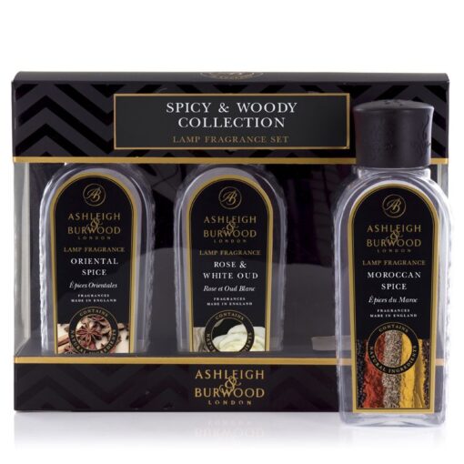 Lamp fragrance set Spicy & Woody
