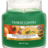 Alfresco Afternoon Small Jar Yankee Candle