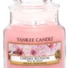 Cherry Blossom Small Jar Yankee Candle