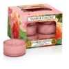 Sun-Drenched Apricot Rose Tea Lights Yankee Candle