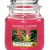 Tropical Jungle Medium Jar Yankee Candle