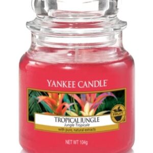 Tropical Jungle Small Jar Yankee Candle