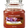 Vibrant Saffron Small Jar Yankee Candle