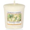 Linden Tree Votive Yankee Candle