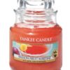 Passion Fruit Martini Small Jar Yankee Candle