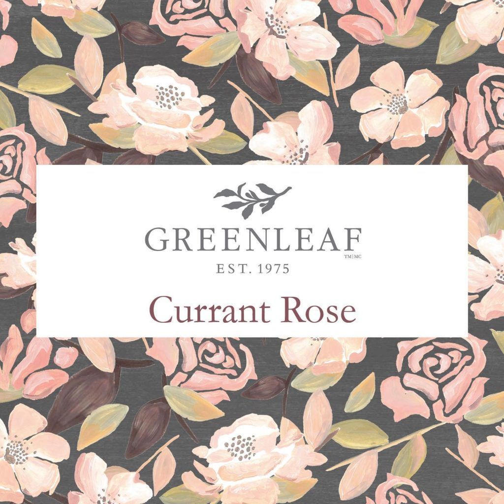 Nieuw! Greenleaf Currant Rose