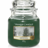 Evergreen Mist Medium Jar Yankee Candle