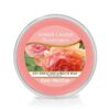 Sun-Drenched Apricot Rose Scenterpiece Melt Cup Yankee Candle