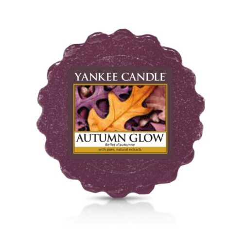 Autumn Glow Wax Melt Tart Yankee Candle