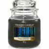 Dreamy Summer Nights Medium Jar Yankee Candle