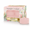 Rainbow Cookie Yankee Candle Tea Lights