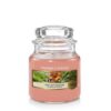 The Last Paradise Small Yankee Candle