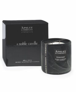 apsley-and-company-geurkaars-400gram-candle-2wick-tempest-www.geurenzeepshop.nl