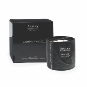 apsley-and-company-geurkaars-400gram-candle-2wick-tempest-www.geurenzeepshop.nl