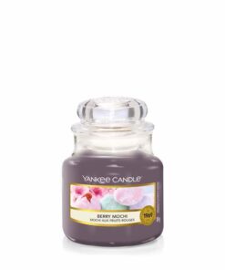 Berry Mochi Small Jar Yankee Candle