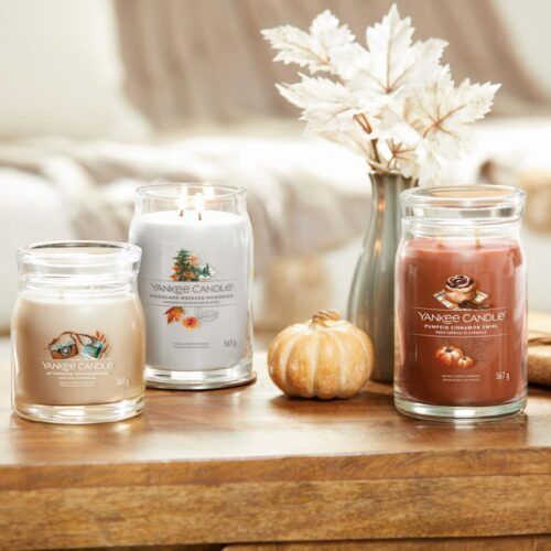 Pumpkin Cinnamon Swirl Wax Melt Yankee Candle