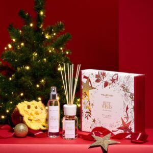 Millefiori Milano Panettone Classico Gift Set