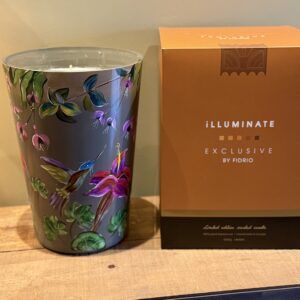 Humminbirds-box-Illuminate-Conic-geurkaars-candle-limited-edition-handpainted-exclsive-www.geurenzeepshop.nl