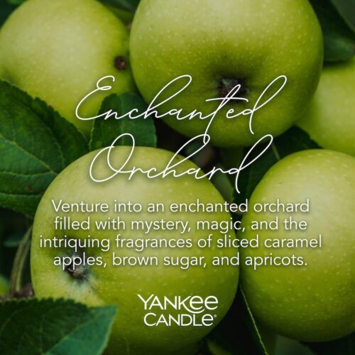 Enchanted Orchard Large Signature Yankee Candle Geurkaars