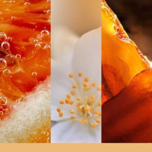 Glistening Leaves Large Signature Yankee Candle Geurkaars