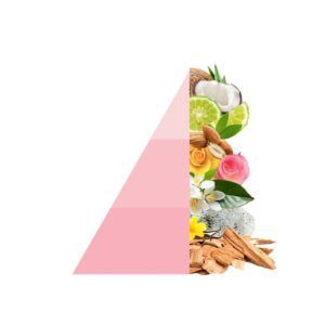 Ervaar een feest van geur met Horomia wasparfum Confetti. De frisse topnoten van bergamot, kokosnoot en pruim combineren perfect met een bloemig hart van oranjebloesem, jasmijn en roos. De warme basis van muskus, sandelhout en vanille geeft je was een langdurige, zomerse geur. Ideaal voor een luxueuze en frisse wasbeleving.